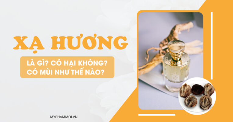 Xạ hương là gì Có hại không Có mùi như thế nào (2)