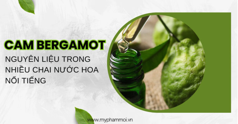 cam bergamot trong nước hoa (1)