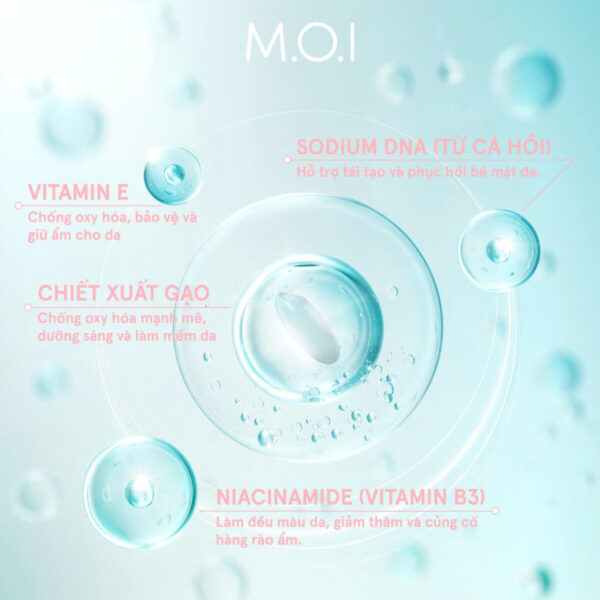 mặt nạ gạo m.o.i phiên bản mới 2
